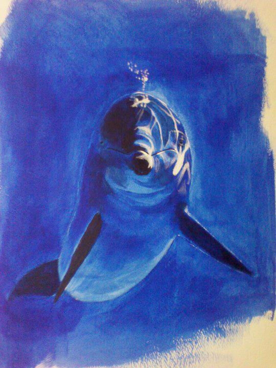 dolphin.jpg