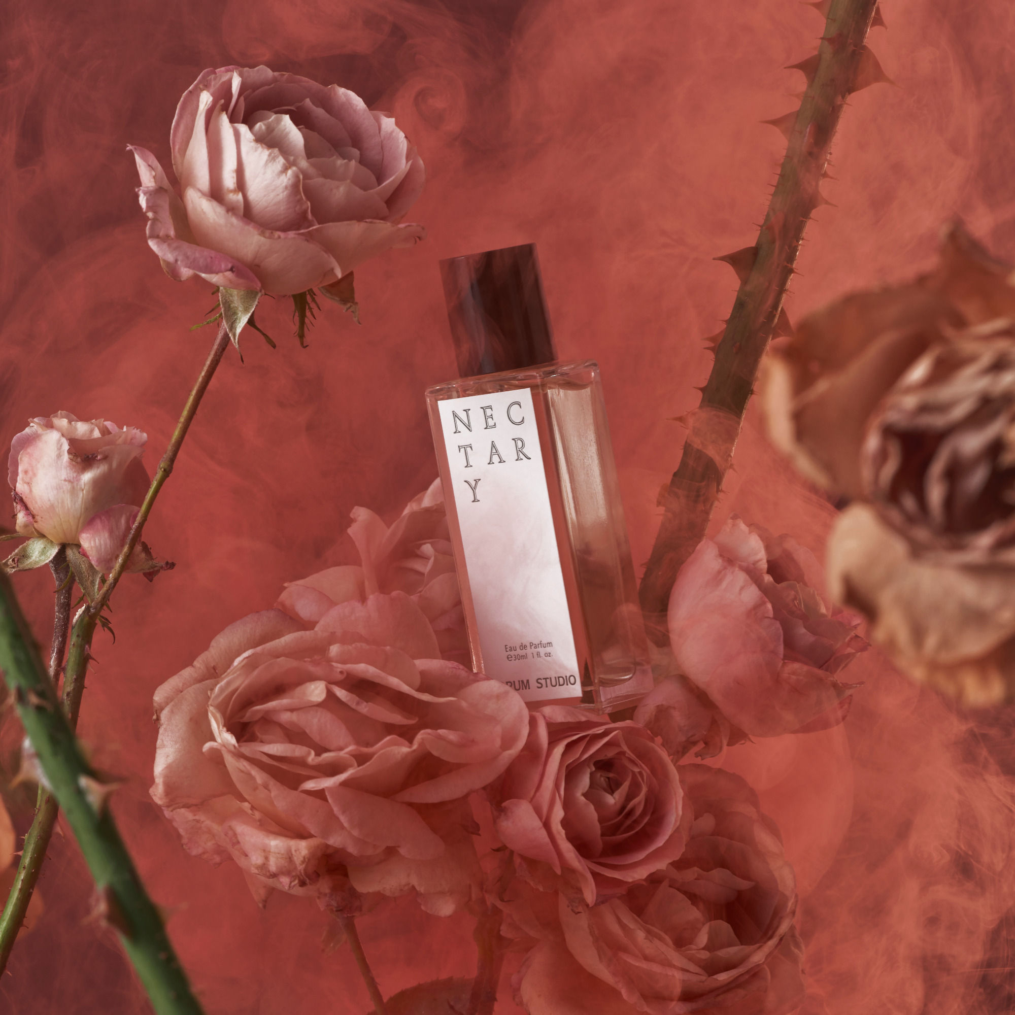 Jorum Studio | Nectary