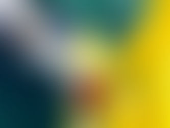 A New Partnership in Offshore Wind Integrity Management