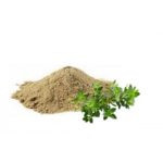 Bacopa Extract - revision ingredient 6
