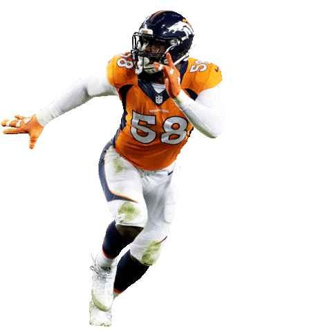 Denver Broncos Football Sticker by NFL.gif