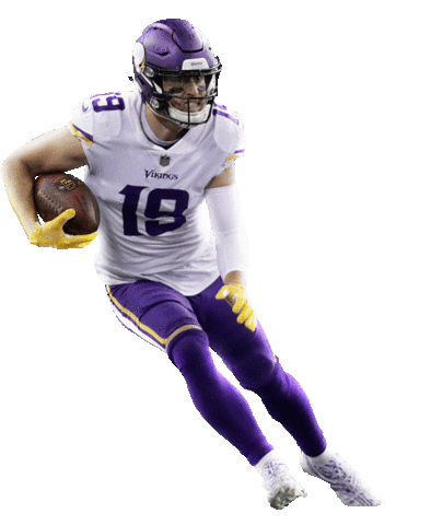 Minnesota Vikings Football Sticker by NFL (1).gif