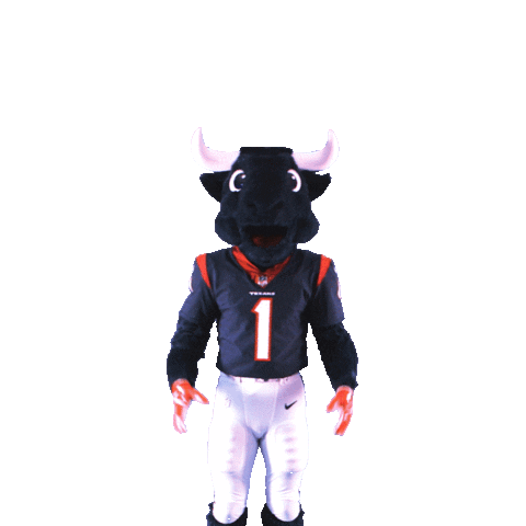 Football Nfl Sticker by Houston Texans (3).gif