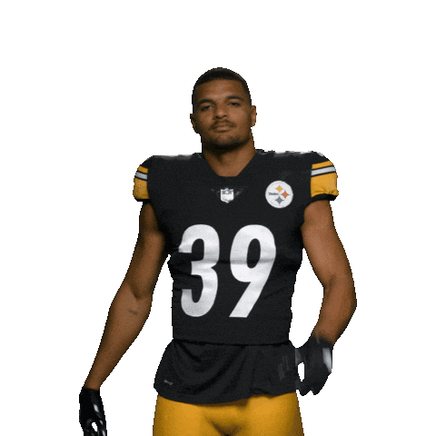 National Football League Sticker by Pittsburgh Steelers.gif