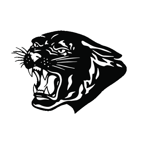 High School Football Panthers Sticker by adidas.gif