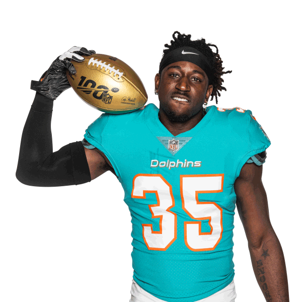 Miami Football Sticker by Miami Dolphins (1).gif