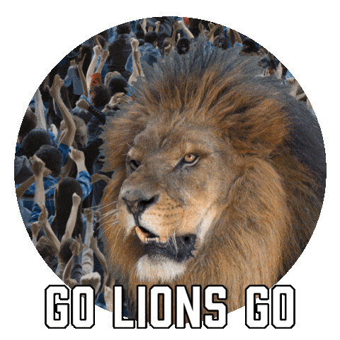 Detroit Lions Football Sticker by Sealed With A GIF (1).gif