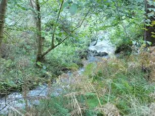 An unexpected waterfall