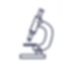 Untitled design (4)_edited.png