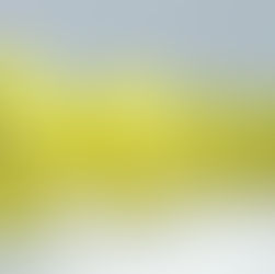 Behaviors of Highly Addicted People 