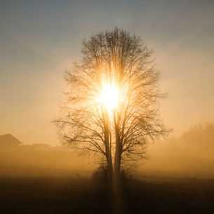 Differences between SMART Recovery and AA