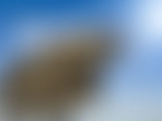 Developing DBT Skills in Addiction Recovery