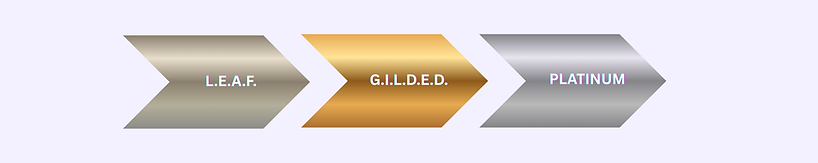 Your paragraph text (1).png