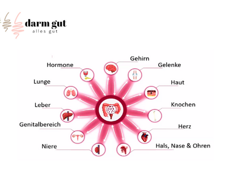 Grafik dei aufzeigt, dass der Darm für alles mitverantwortlich ist