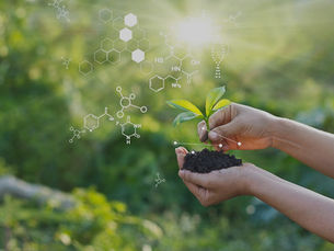 Are Nasty Chemicals Hiding in Your Organic Fertilizer?