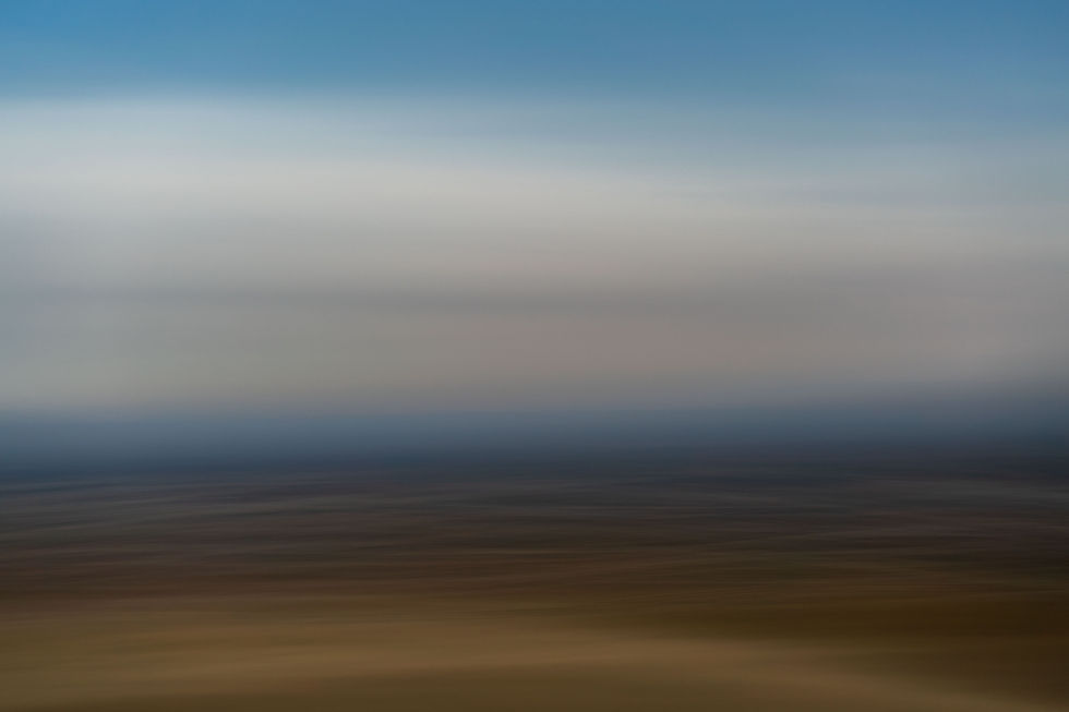 2022 / walked along the fields / Thallern