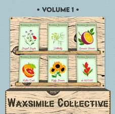 Wax Collective vol. 1