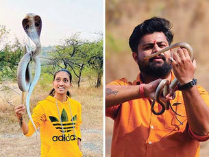 Snake rescuers demand protection