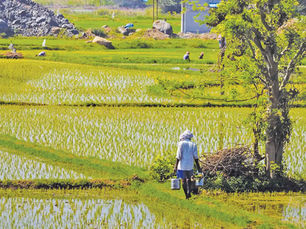 Credit Scores for Farmer Health