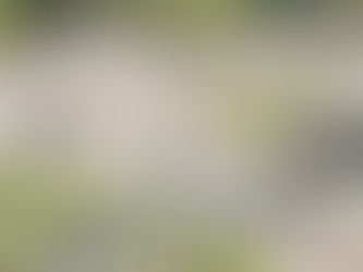 The Global Reverberations of Pahalgam