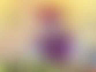 Goda-Narmada Jal Yatra flagged off