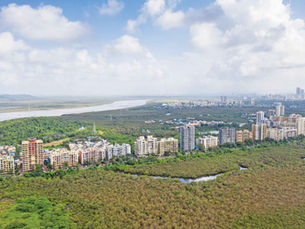Mumbai’s Sinking Safeguards