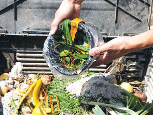 Zero Food Waste Starts at Home
