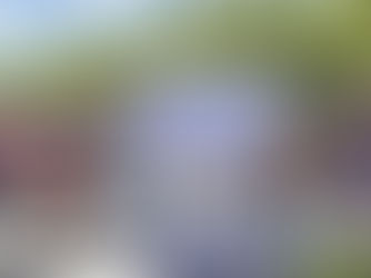 The Americanization of Caste: How Critical Caste Theory is Undermining India