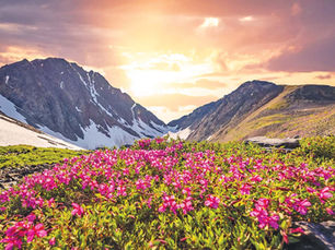 All Is Well: When Faith Met the Fury of Nature