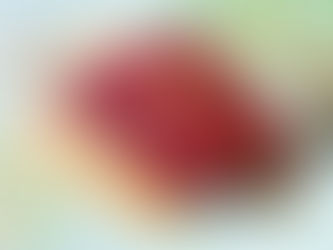 Passport as an Investment