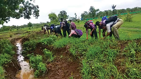 A Living Classroom for Environmental Learning