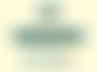The Missing Middle: The 15 to 50 Problem