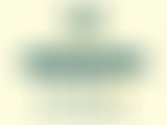 The Missing Middle: The 15 to 50 Problem