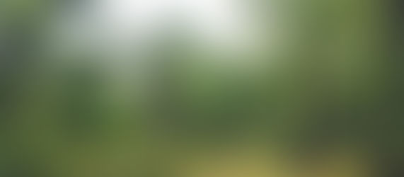 From barren land to lush green Devrai