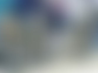 The Elusive Terrorists: Why it Takes Time, Toil, and Toll to Get Them