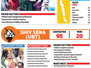 ASSEMBLY POLLS