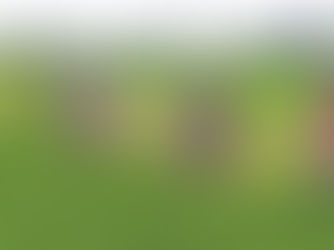 The Productivity Paradox