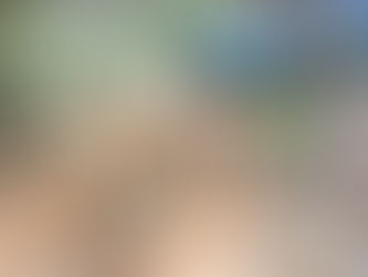 The Danes’ Soulful Journey Through the Golden Triangle