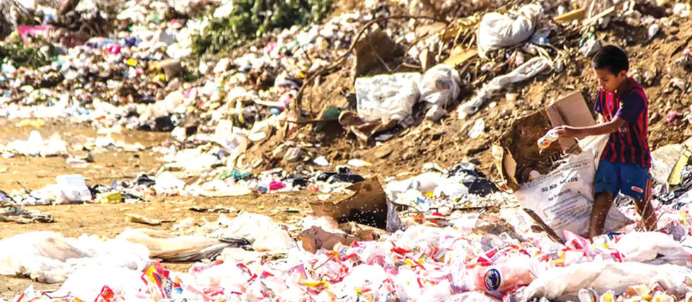 Why Plastic Persists: It’s All in the Chemistry