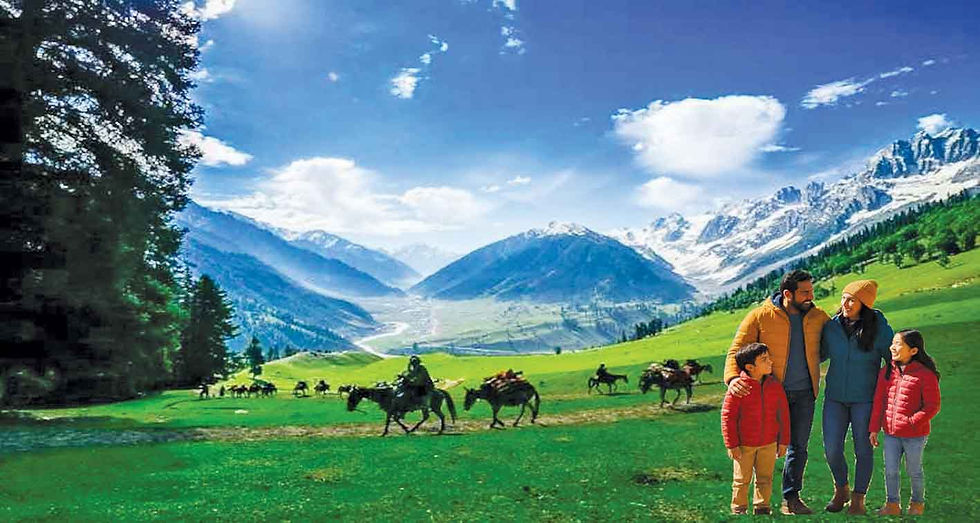 Discover Kashmir's Most Magical Season