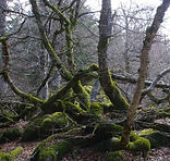 IMGP9876.JPG