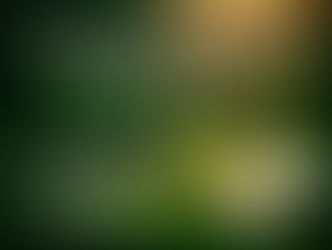 Writing the Land - Creative collaborative Project