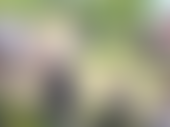 Roots of Solidarity & Festival of Traditional Crafts