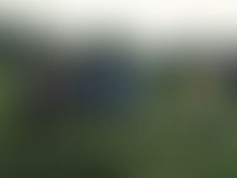 Pond Creation and Water Management with Féidhlim Harty