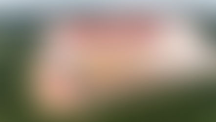 Um dia após a votação e já estamos com a síndrome do vira-lata!