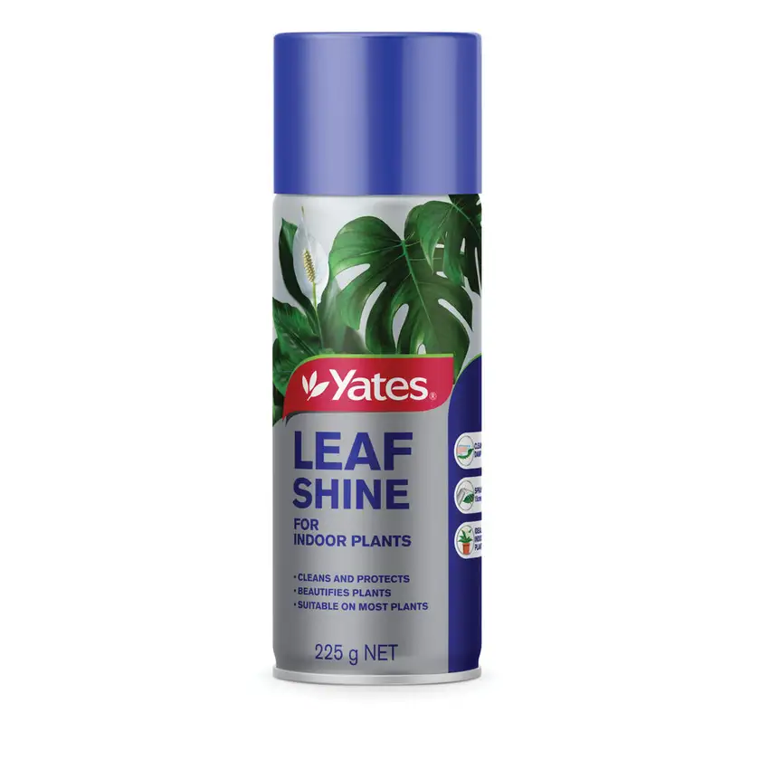 Leaf Shine 225gm Fertool