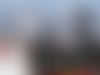 LA EMISIÓN DE GASES CONTAMINANTES, UNA SITUACIÓN DELICADA