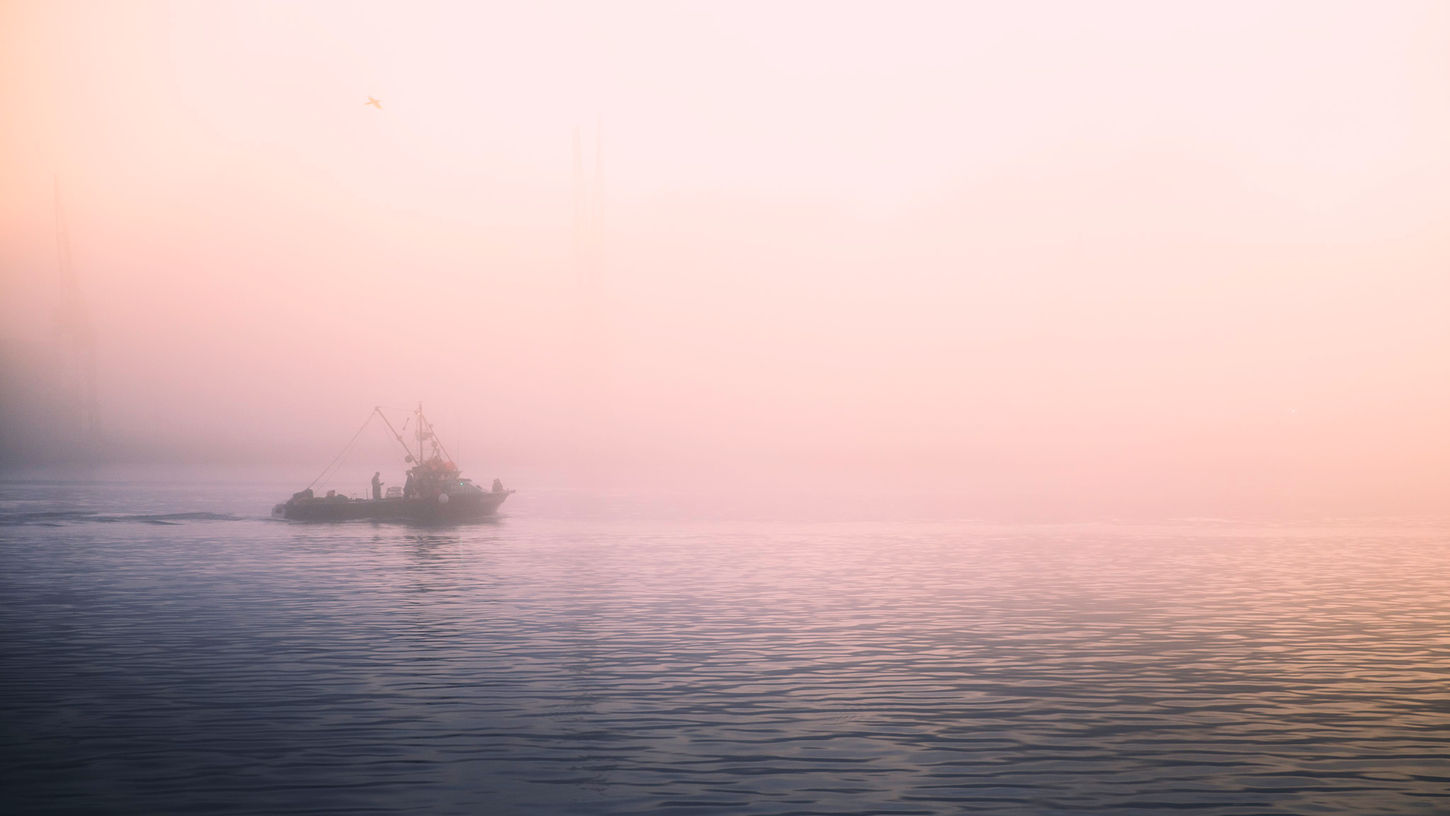 Silhouette of commercial fishing boat with outrigger poles navigating through thick morning fog on calm waters near San Pedro California