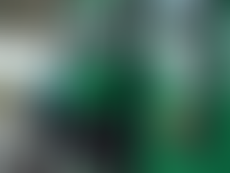 What to Do If You Put Petrol in a Diesel Car in Colchester