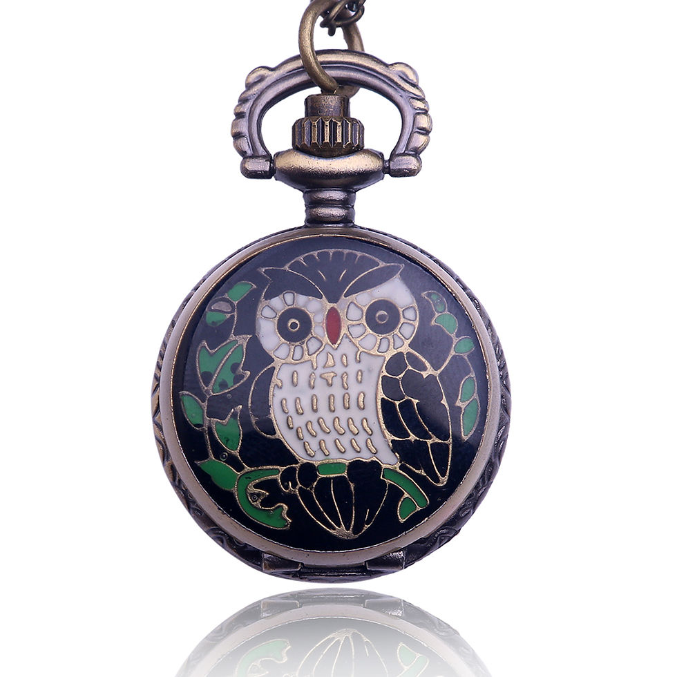 Thumbnail: Black Owl Pocket Watch